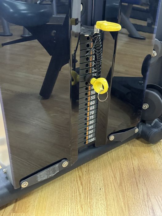 parat Pulse fluturari piept