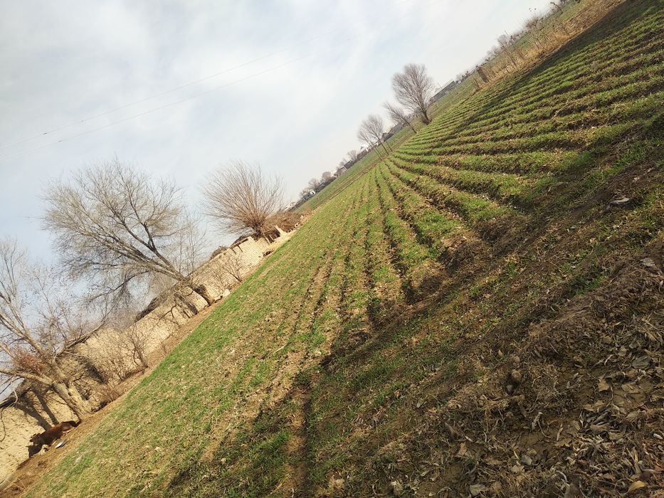 10sutix yer sotiladi