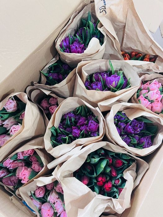 Тюльпаны на 8 марта