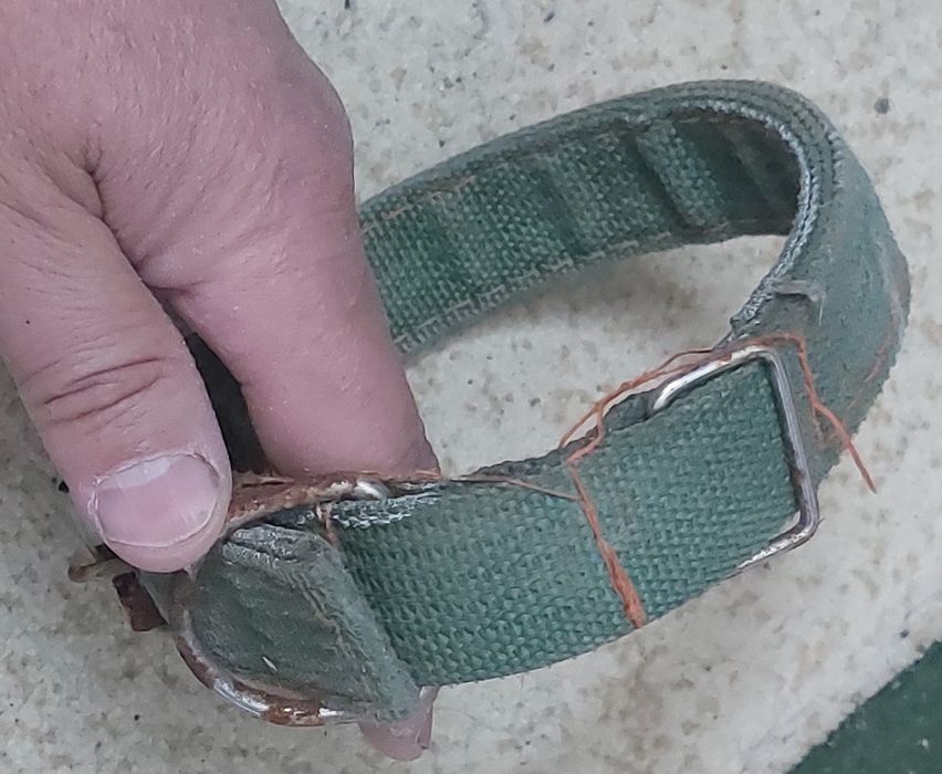 Новый Ошейник для собаки средний.