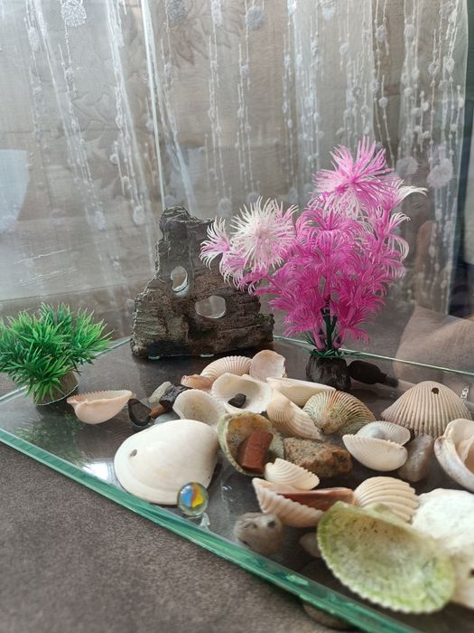 Аквариум 7 литров