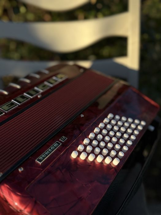 Acordeon Delicia Junior ll 48 bași