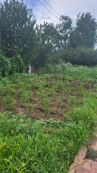 Дачный участк  земля