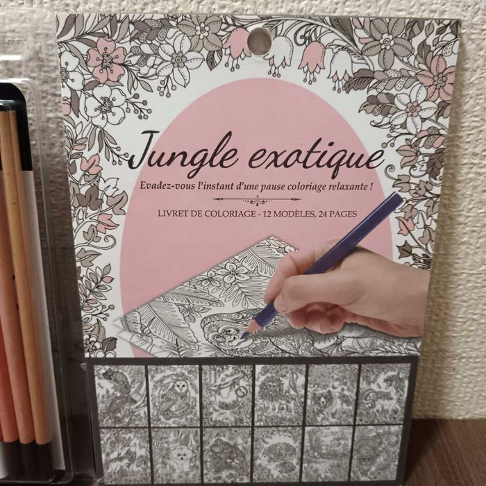 Книги и Комплекти платна с бои и четки - рисуване по номера.Бои,моливи