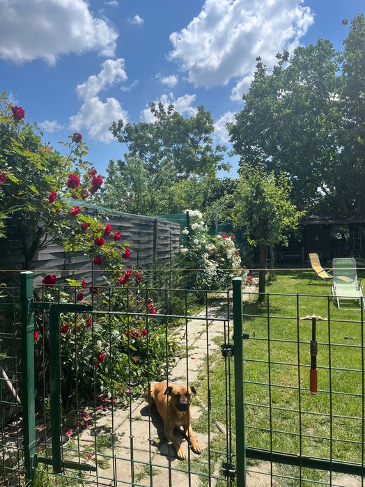Proprietar vand casă în Fratelia