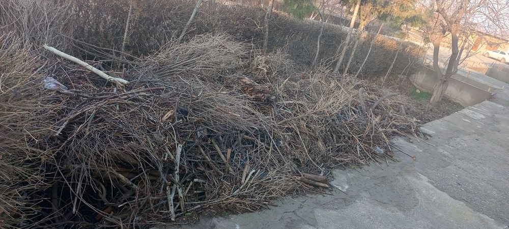 Òtin sotiladi tezda