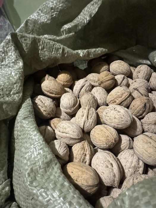 Грецкие орехи (дачные)