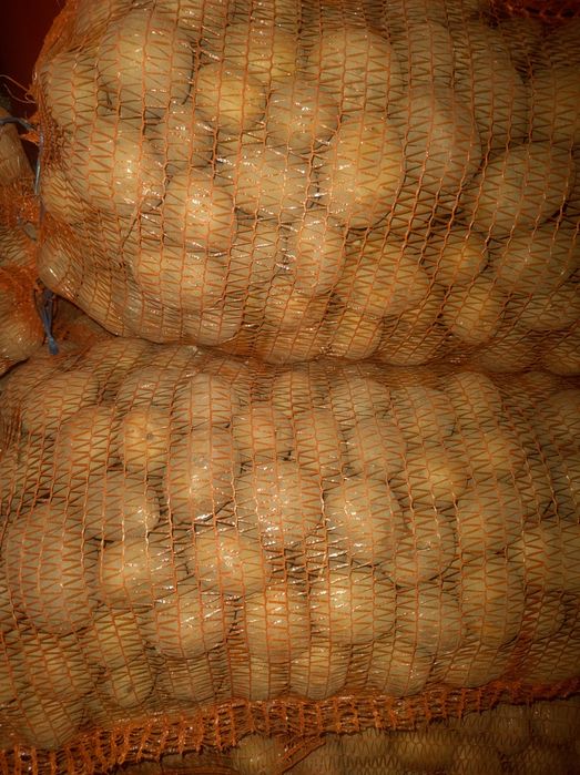 Cartofii de sămânța buni și ieftini