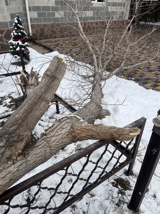 Дрова за бесплатно забрать