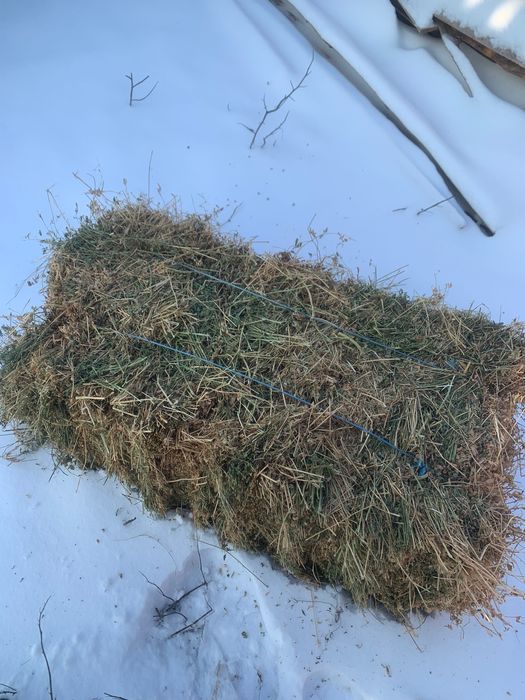 Vând baloți lucerna