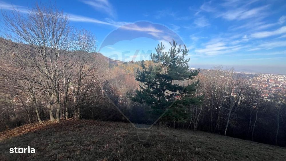Teren Colinar Panoramic – 17.684 mp în Scheii Brașovului