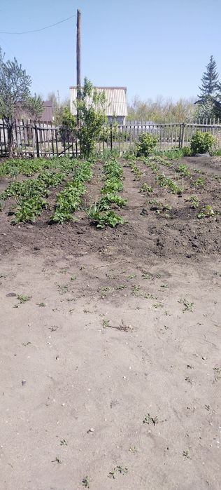 Продаем дачу с/о ГУДОК —Эврика