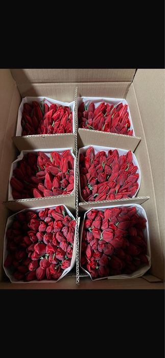 Цветы Тюльпаны Доставка