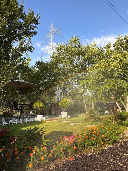 Birou de inchiriat cu gradina  300mp,sector.3, de la proprietar