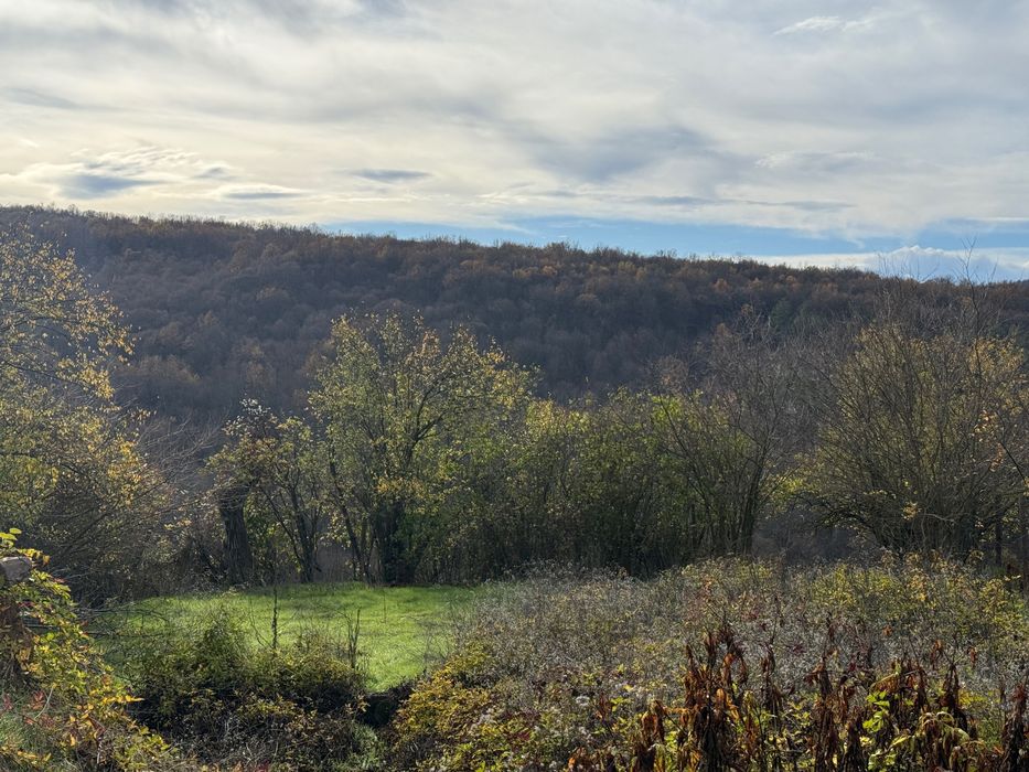 Продава се Къща в с. Хлевене, Област Ловеч - 38 кв.м за 400 €/кв.м - Снимка #13