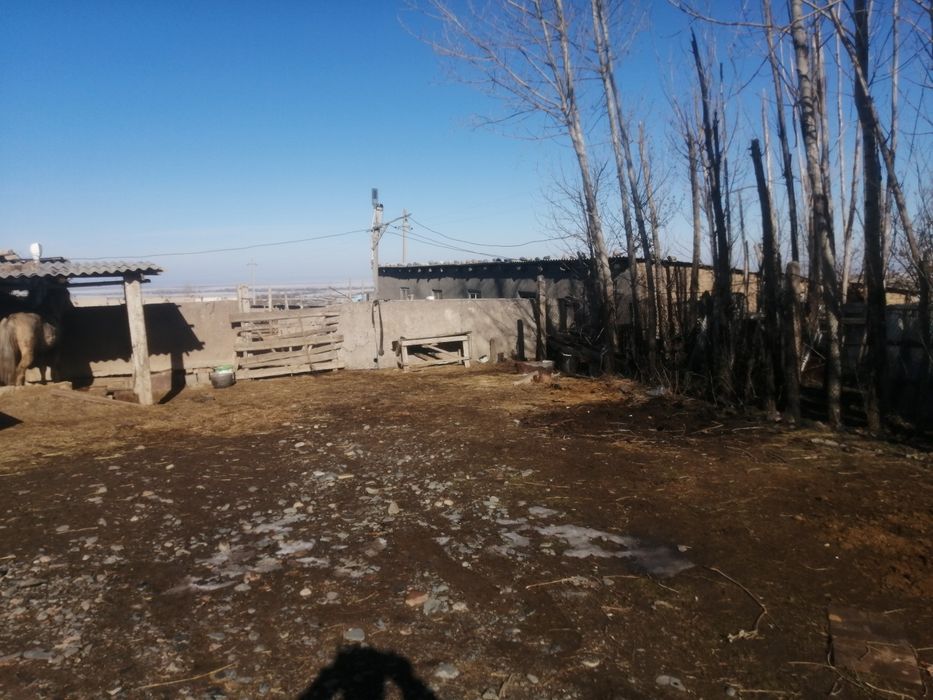 Продается Фазенда