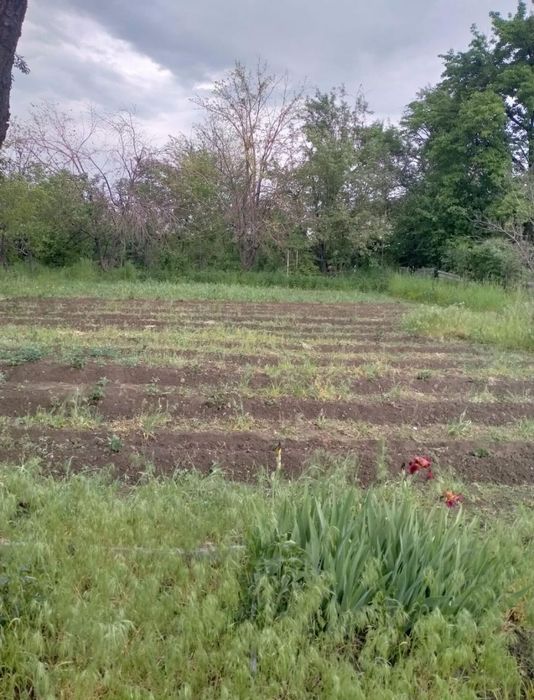 Дача 7 соток с домом 11кв.м.