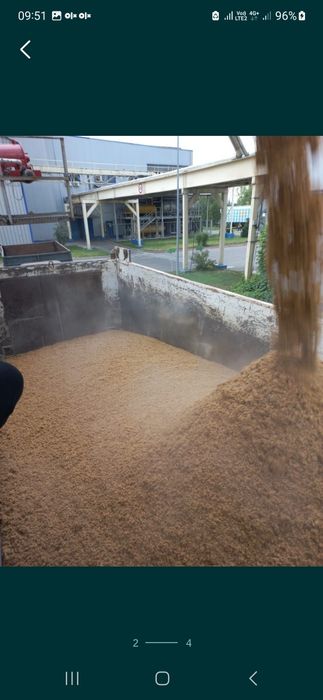 Барда корм для скота.