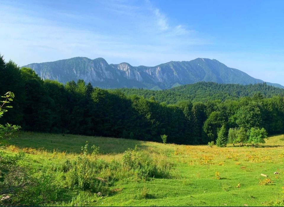 De vânzare teren intravilan – Trei Brazi, Predeal