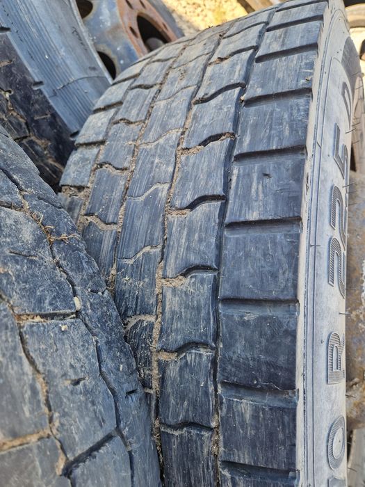 315/70 R 22,5 10 gauri