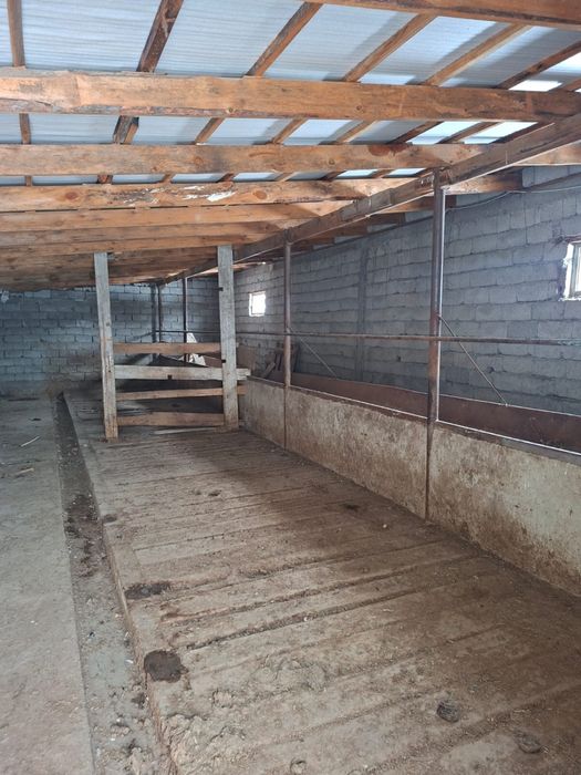 Дом фазенда кой кора