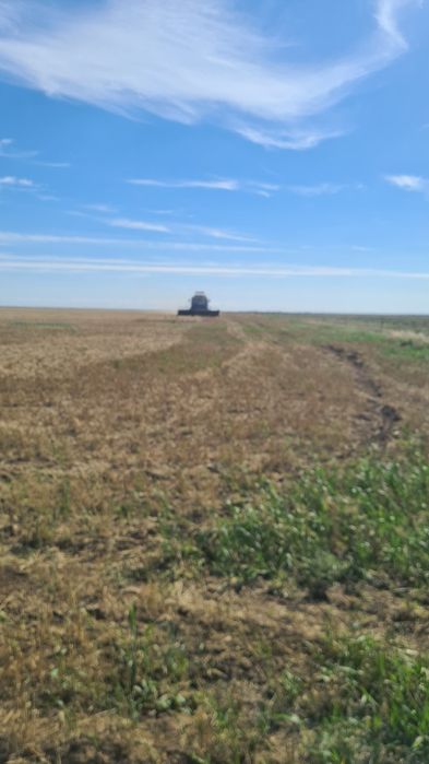 Енесей комбайн уборочный