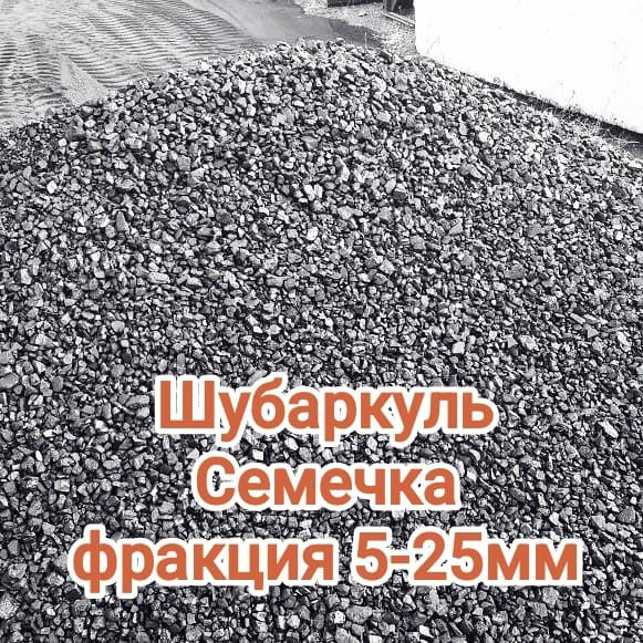 Шубаркуль. Семечка