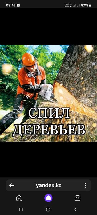 Покос травы спил деревьев