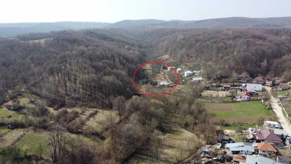 Teren intravilan de vanzare Merisani 2291mp