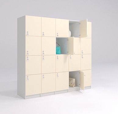 Шкаф купе ячейки Шкаф раздевалку