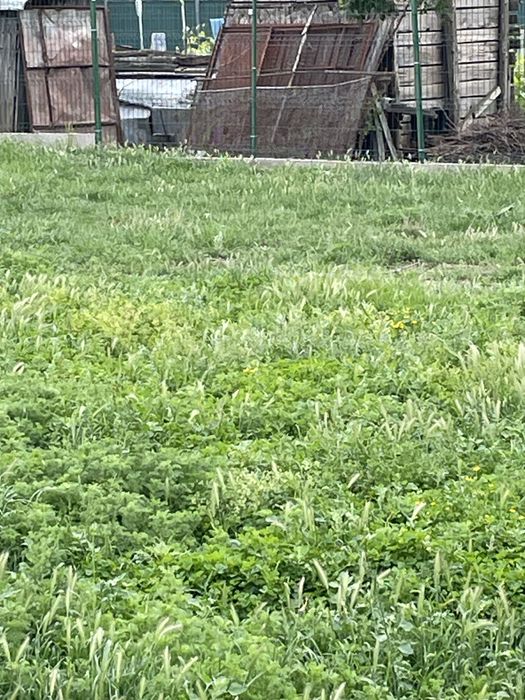 De vanzare teren intravilan