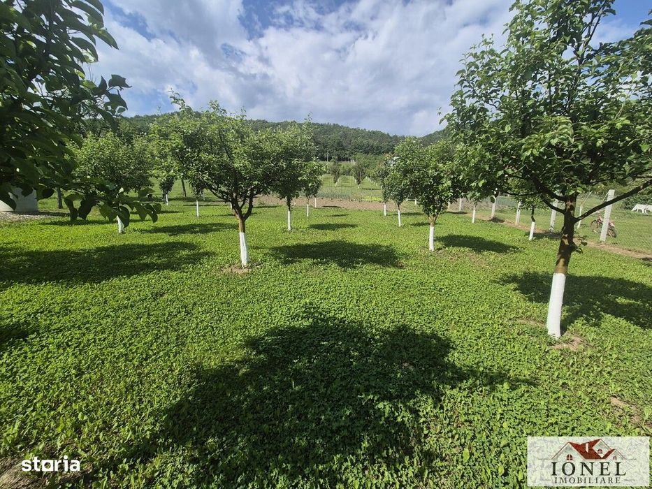 Teren intravilan 2292 mp in Vintu de Jos