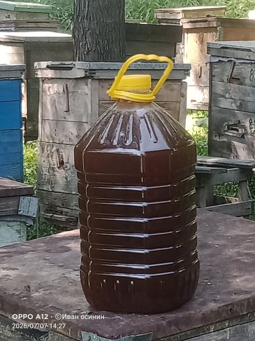 Продам мёд 5л-12000тг