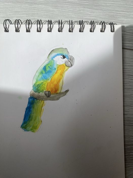 Рисую животных на заказ