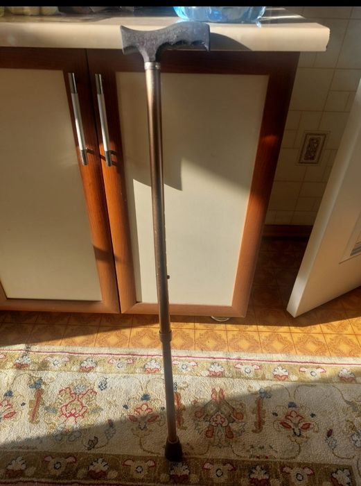 Трость новый Шымкент