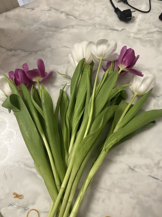 Цветы Тюльпаны