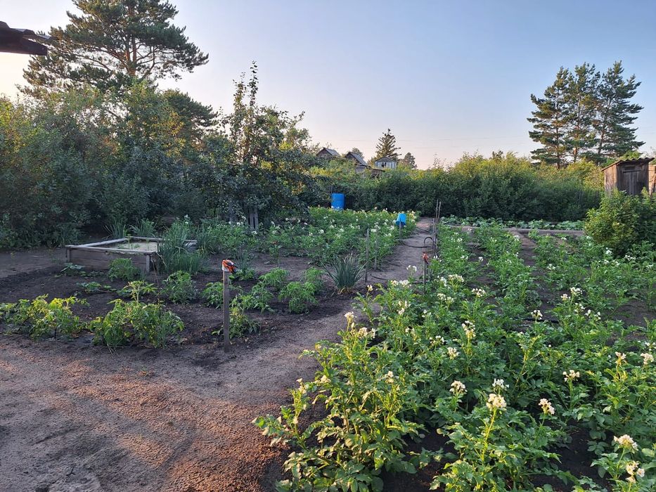 Продам дачу,  Затобольск автомобилист 26 Улица