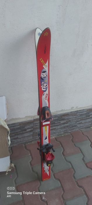 Schiuri din Germania