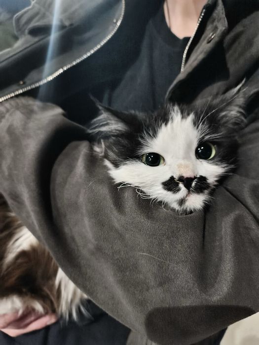 Отдаю в хорошие руки!!!