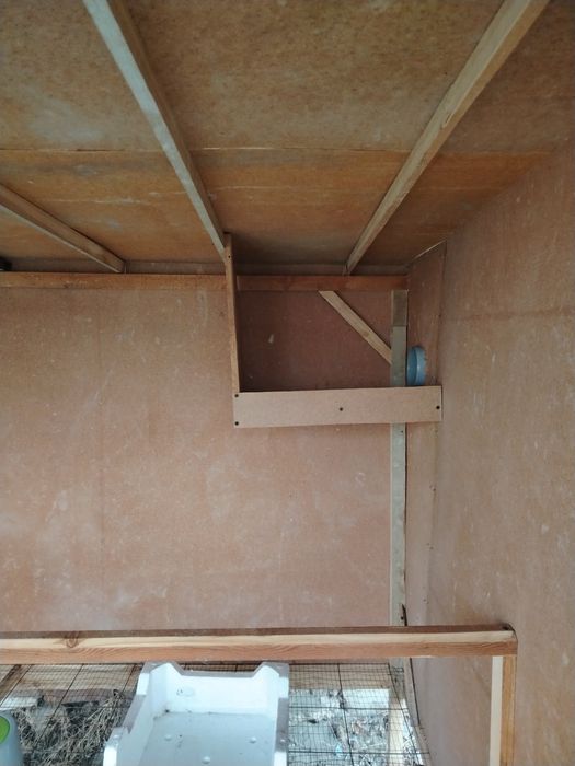 Kakat. Tovuqlar uchun