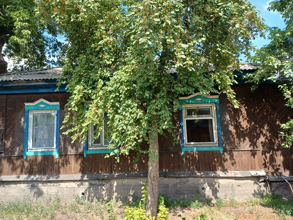 Продам дом в районе общество слепых
