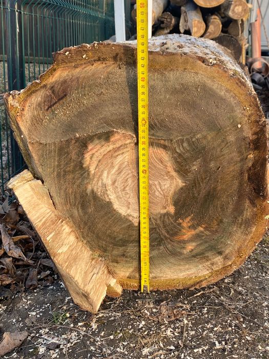 Vând trunchi de nuc