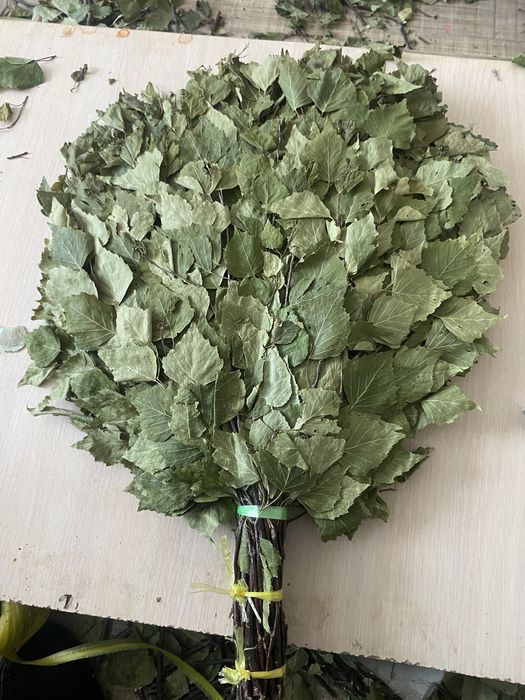 Продам баные веники(Из березы)