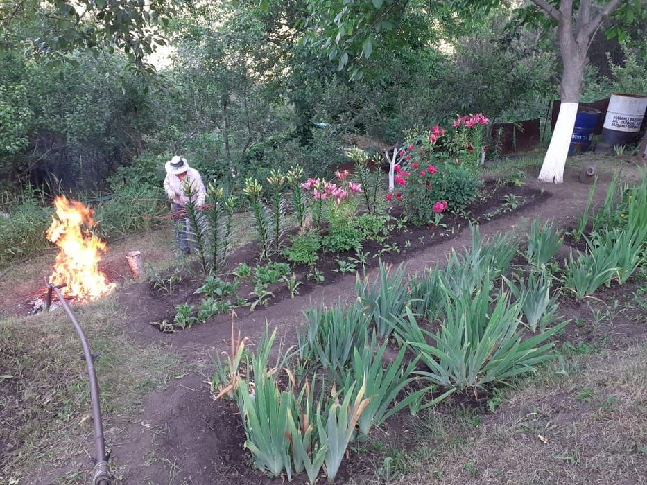 Дача участок 8 соток