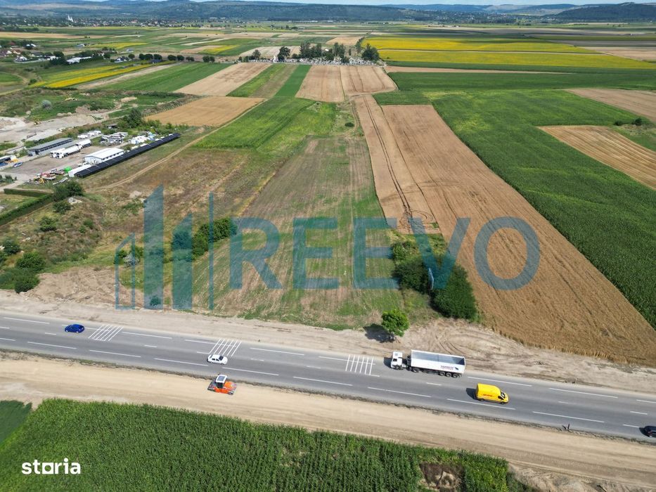 Teren 5.000 mp, E85, Roman