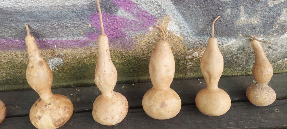 Картунки декоративни