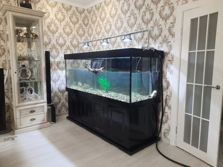 Новый Аквариум 237л