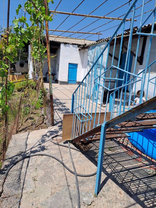 Turar Joy Kotta Xovli