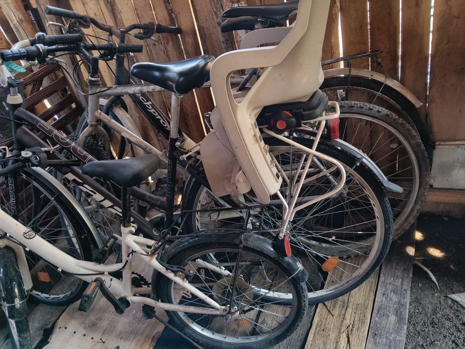 Biciclete bărbați femeii copiii