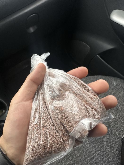 Псиллиум семена подорожника 100г